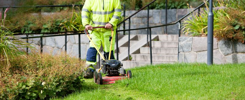 12.Trädgårdsskötsel